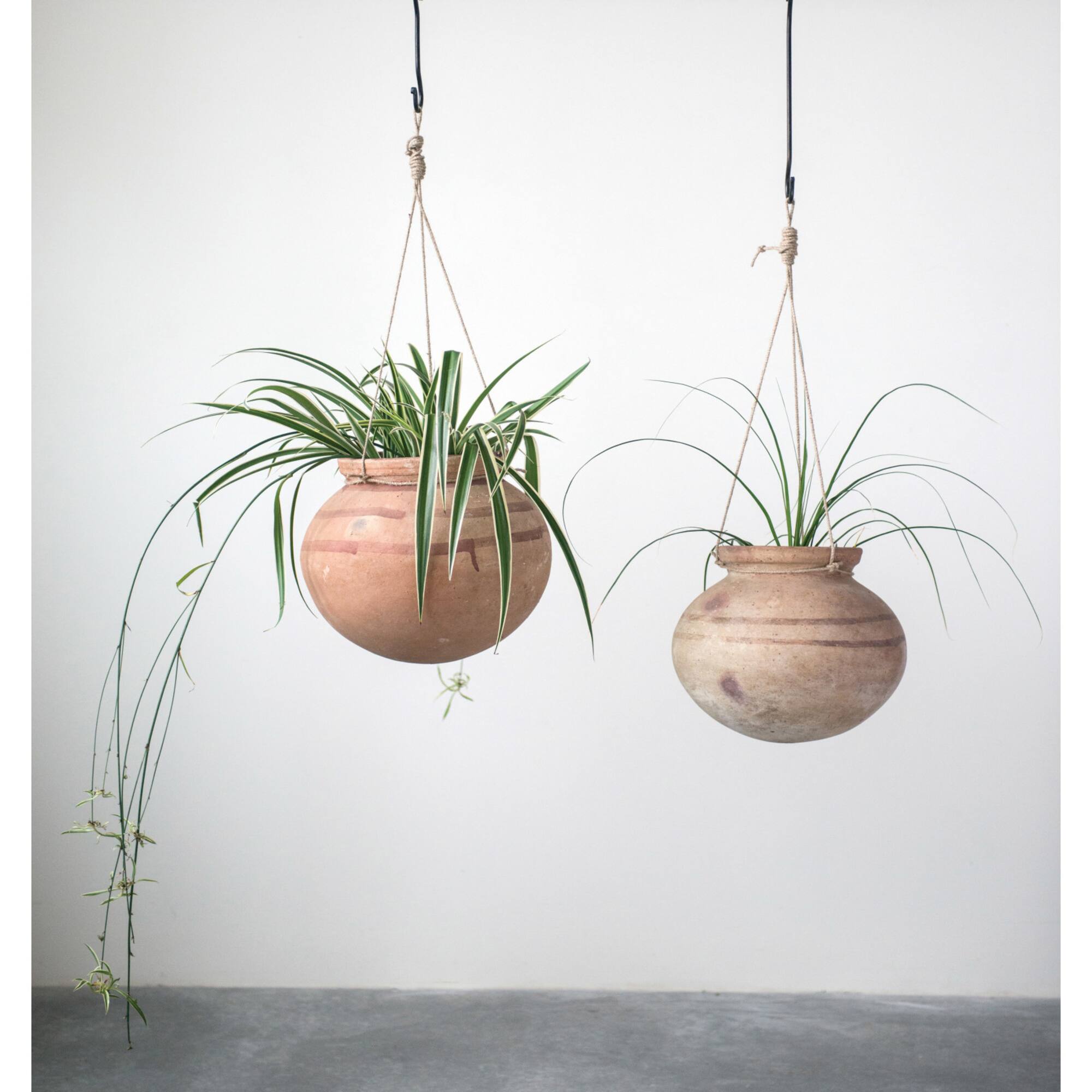 Hello Honey® 15" Hanging Clay Pot with Jute Hanger